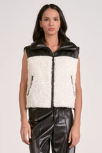 Load image into Gallery viewer, Finland Reversible Vest
